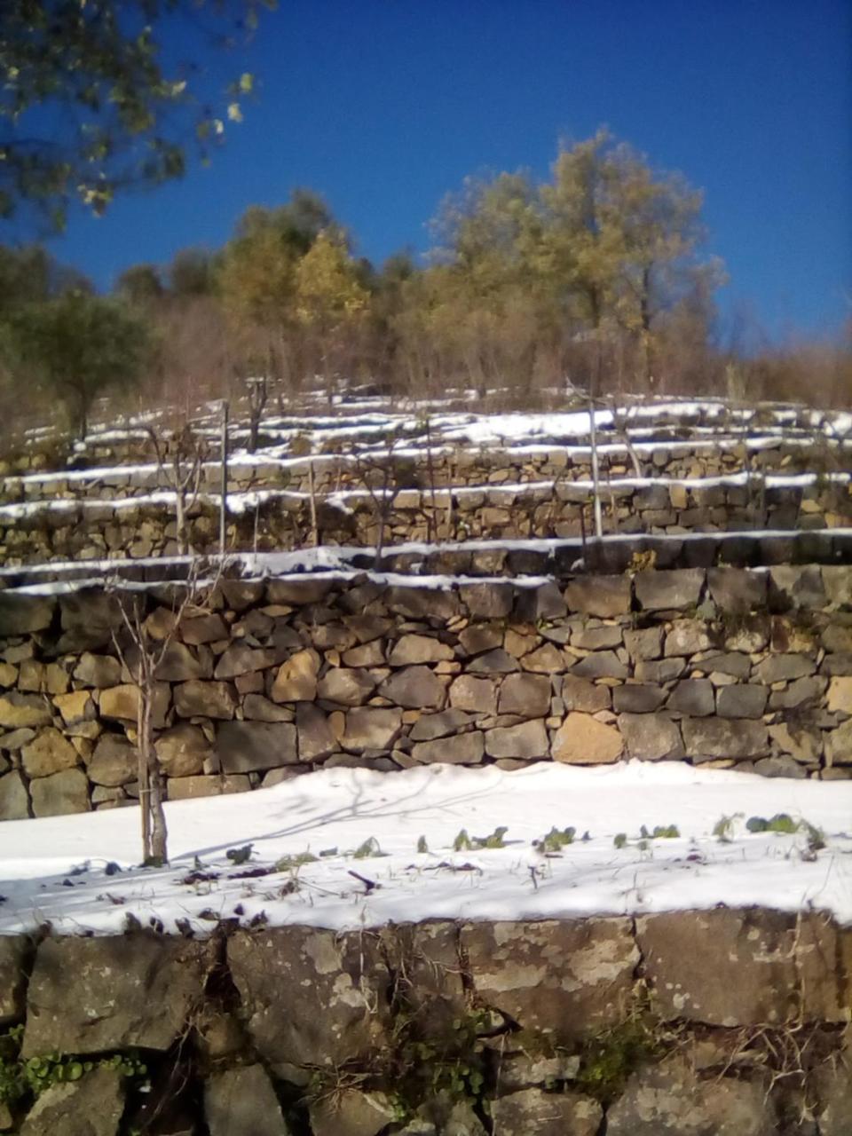 הוילה מסקלי La Pietra Antica O' Munti מראה חיצוני תמונה